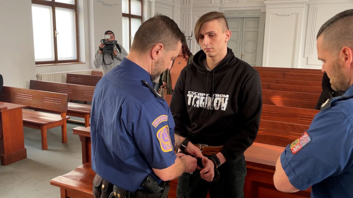 Fascinuje ho násilí, řekli znalci o mladíkovi z Ukrajiny obžalovaném ze znásilnění a pokusu o vraždu školačky
